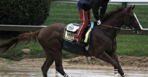 handicappers picks for the preakness